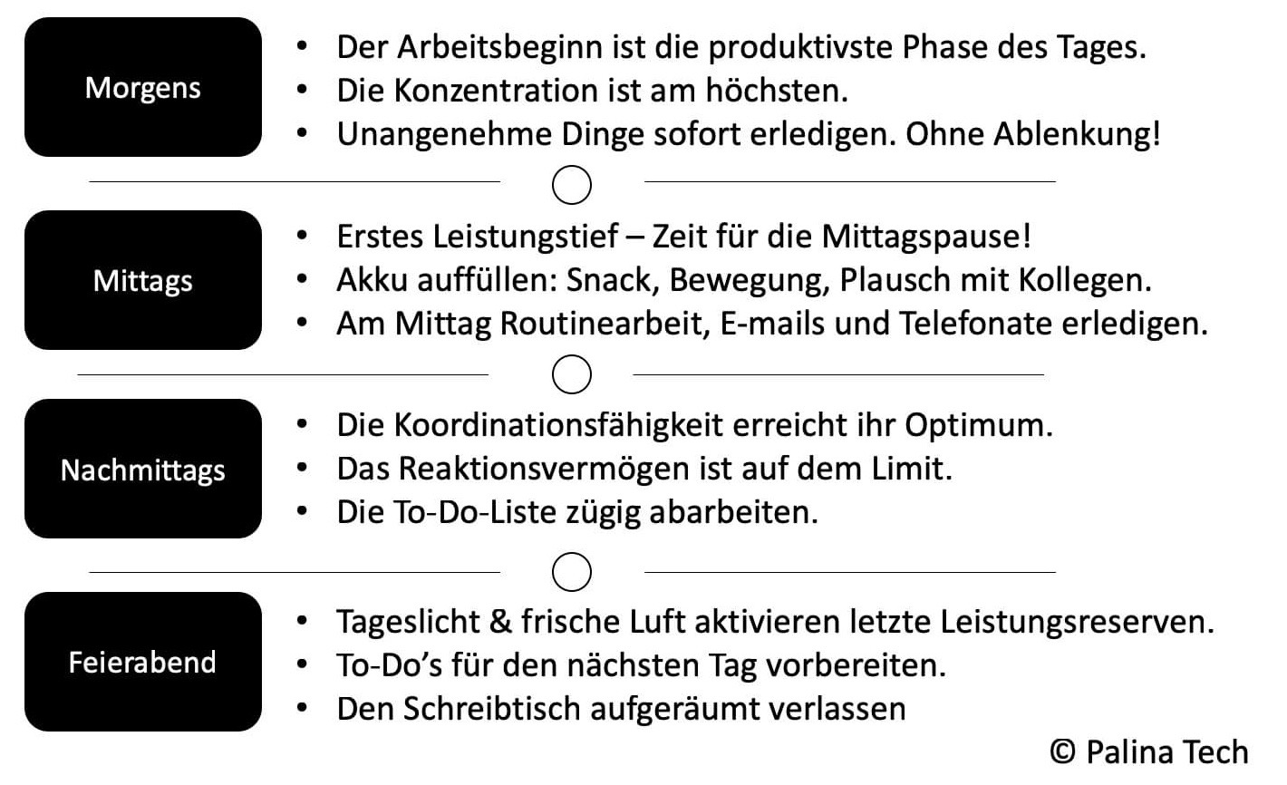 Chronobiologie das Ticken der biologischen Uhr