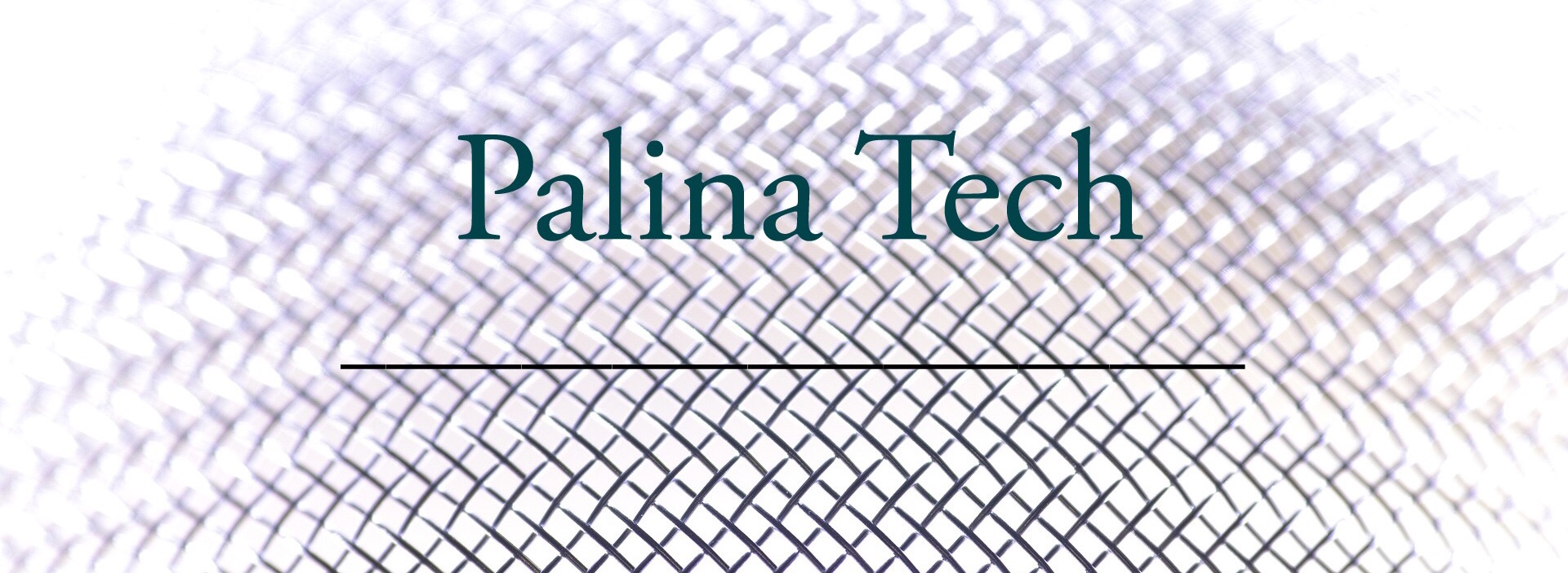 Über Palina Tech